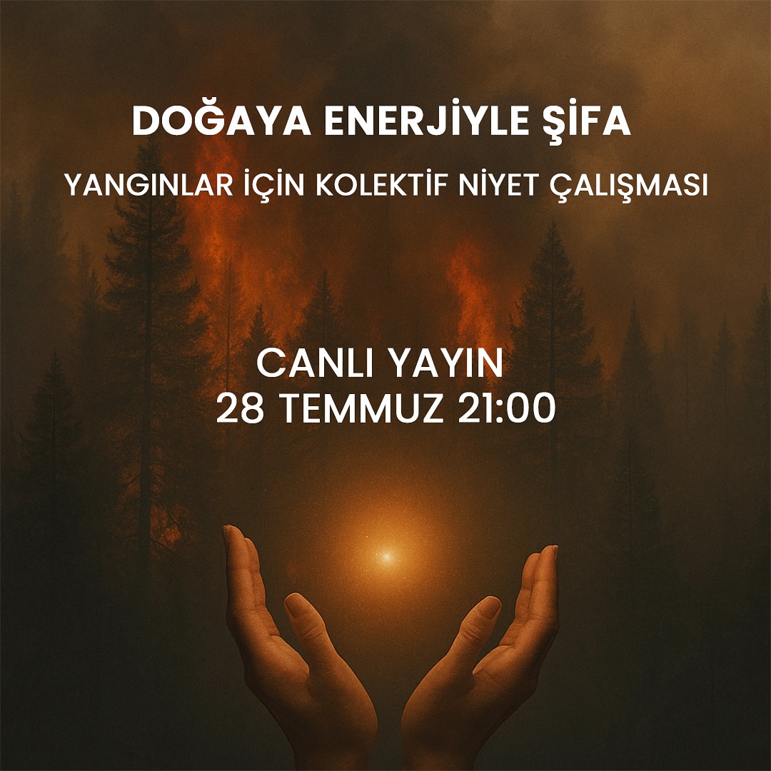 523821961 18133130488438424 3223477268104008431 n